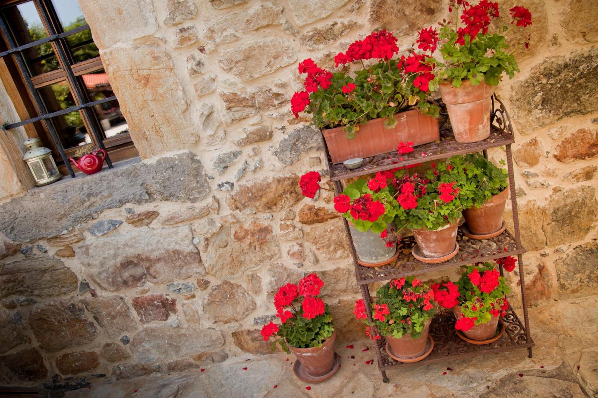 מלון Casona De San Pantaleón de Aras מראה חיצוני תמונה